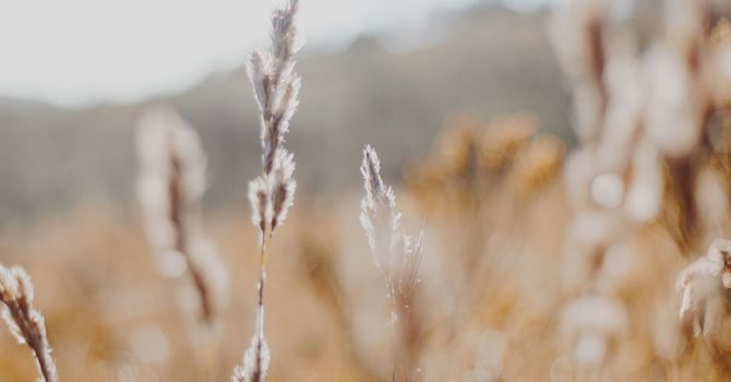 Medical - Primary Care / Family Medicine